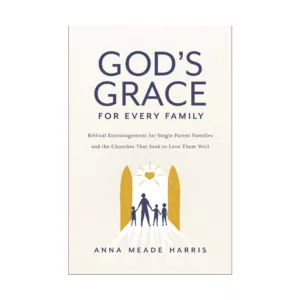 God's Grace for Every Family: Biblical Encouragement for Single-Parent Families and the Churches That Seek to Love Them Well - by Anna Meade Harris